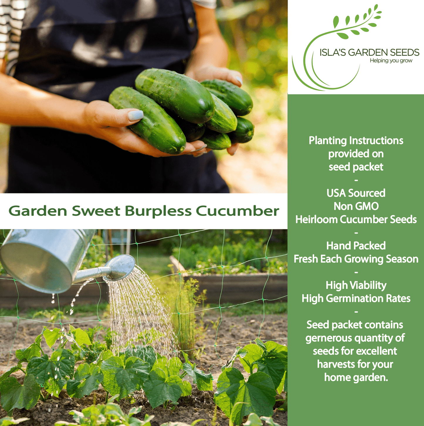 Garden Sweet Burpless Cucumber | 100 Seeds/Pk