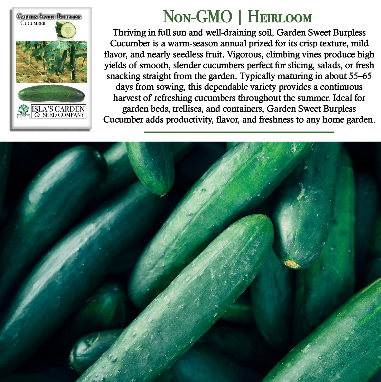 Garden Sweet Burpless Cucumber | 100 Seeds/Pk