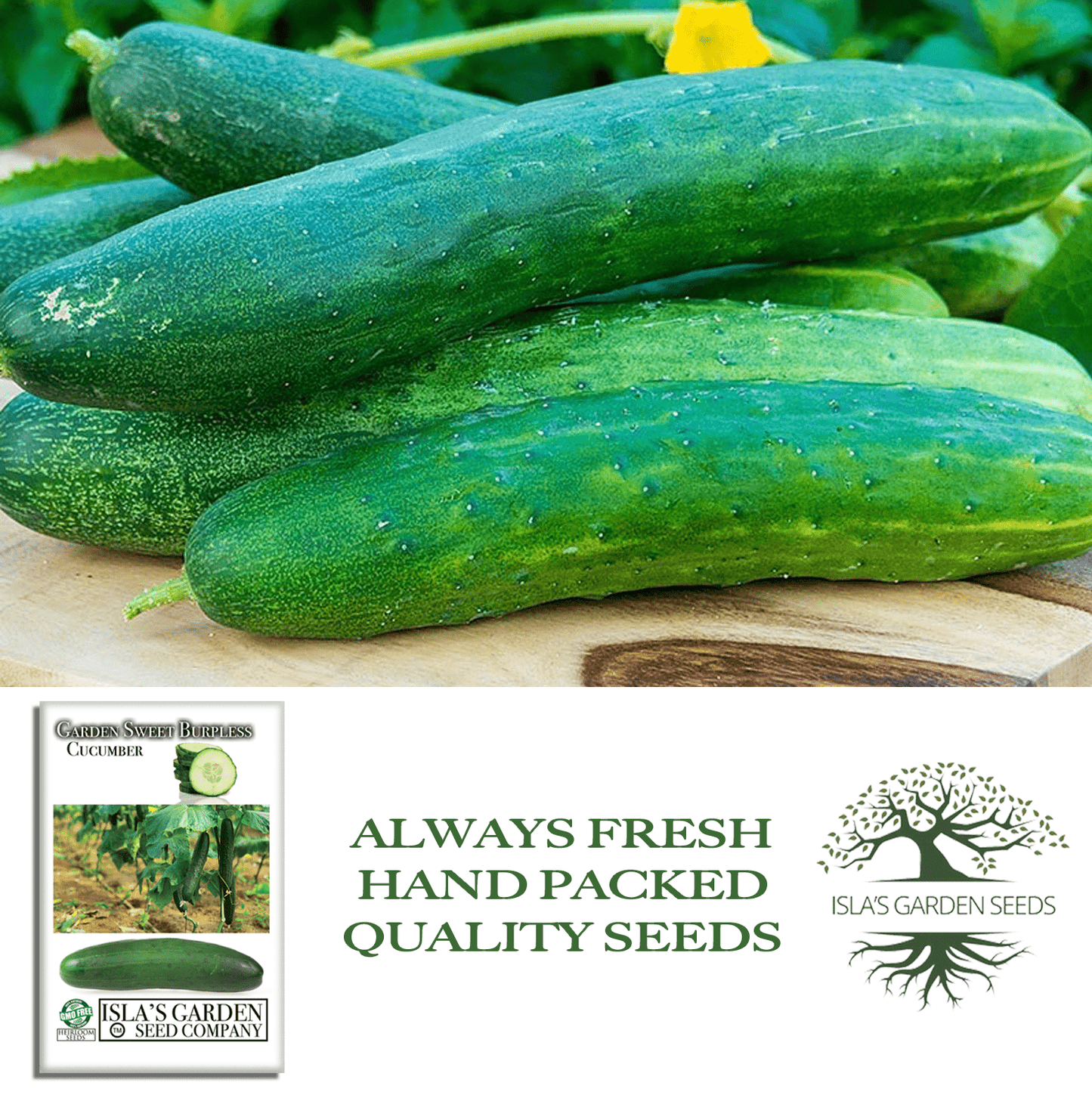 Garden Sweet Burpless Cucumber | 100 Seeds/Pk
