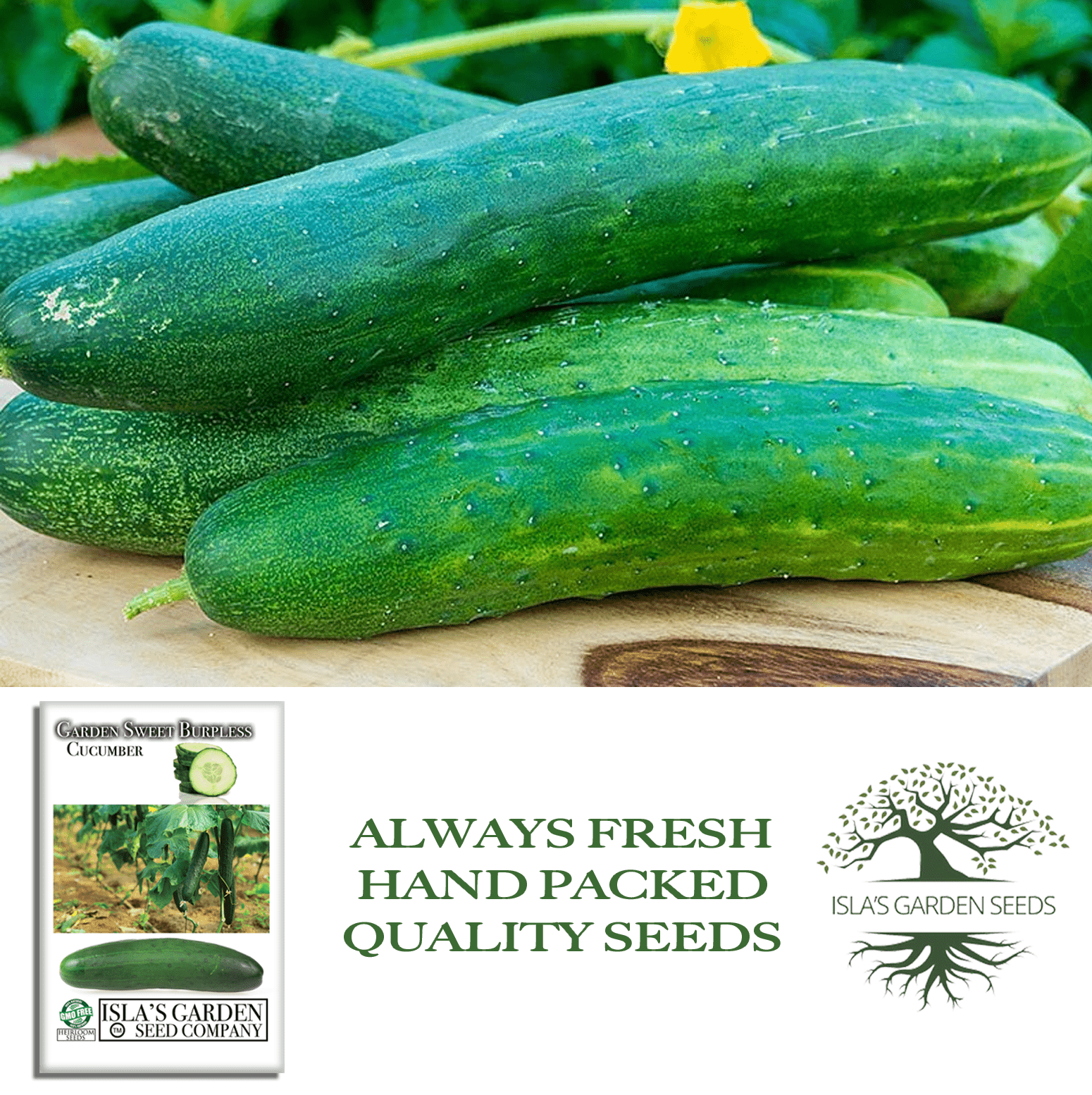 Garden Sweet Burpless Cucumber | 100 Seeds/Pk