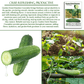 Garden Sweet Burpless Cucumber | 100 Seeds/Pk