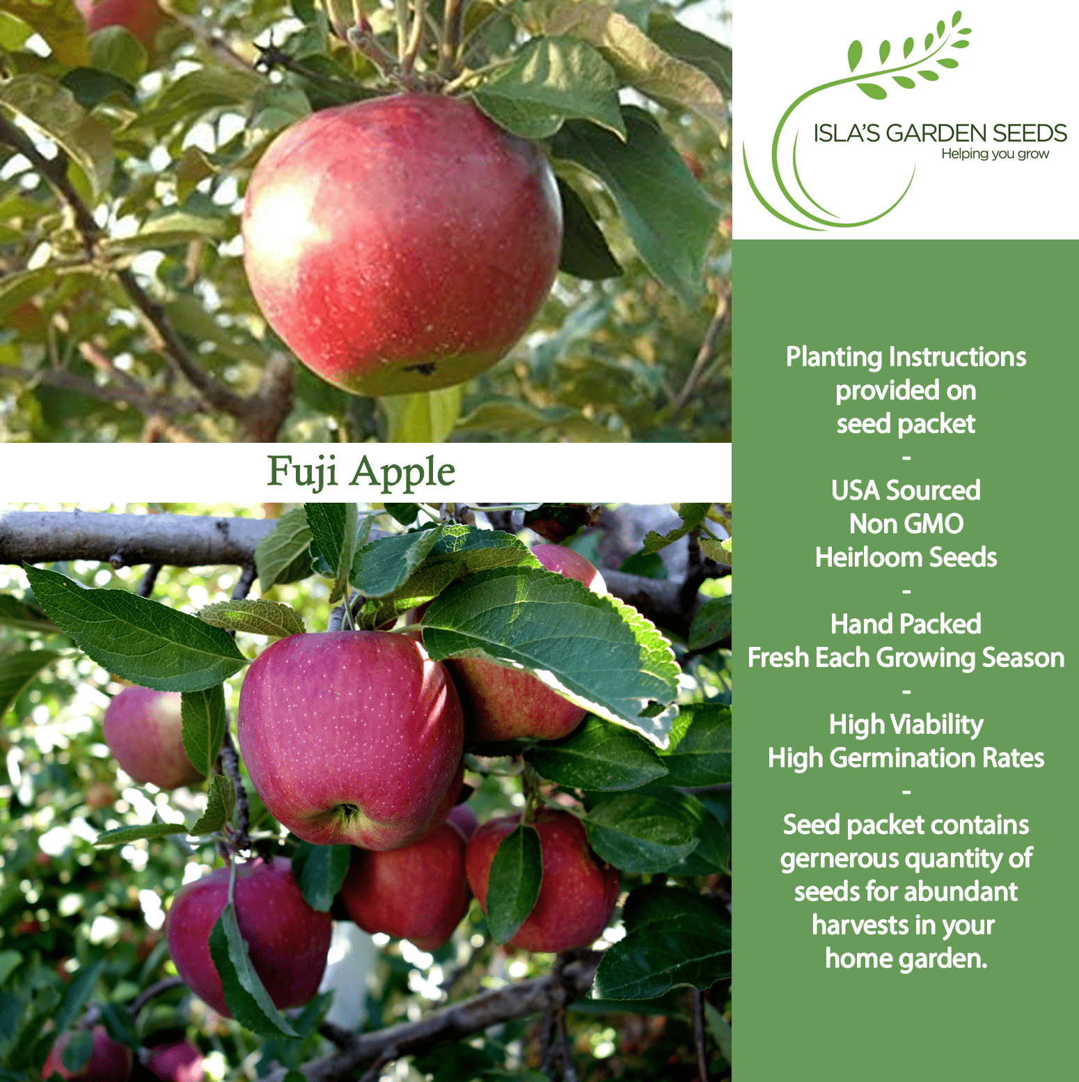 fruit seeds for planting Fuji Apple Fruit Tree Seeds, 10 Premium Quality Tree Seeds,70-90% Germination in