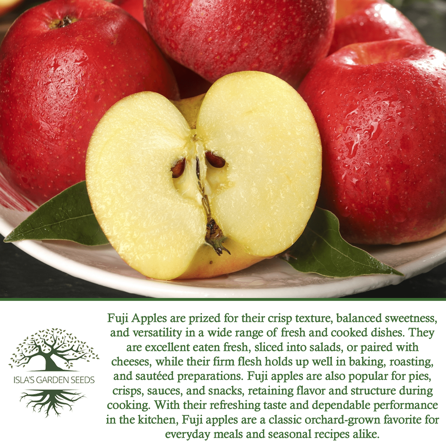 Fuji Apple Tree Seeds, 10 Seeds Per Packet