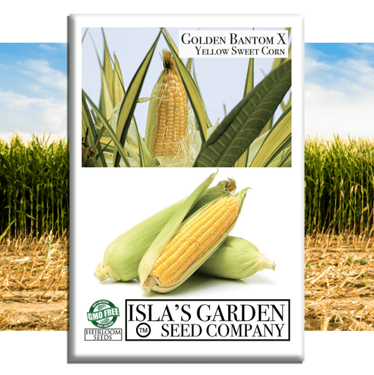 Golden X Bantam Sweet Corn | 50 Seeds/Pk