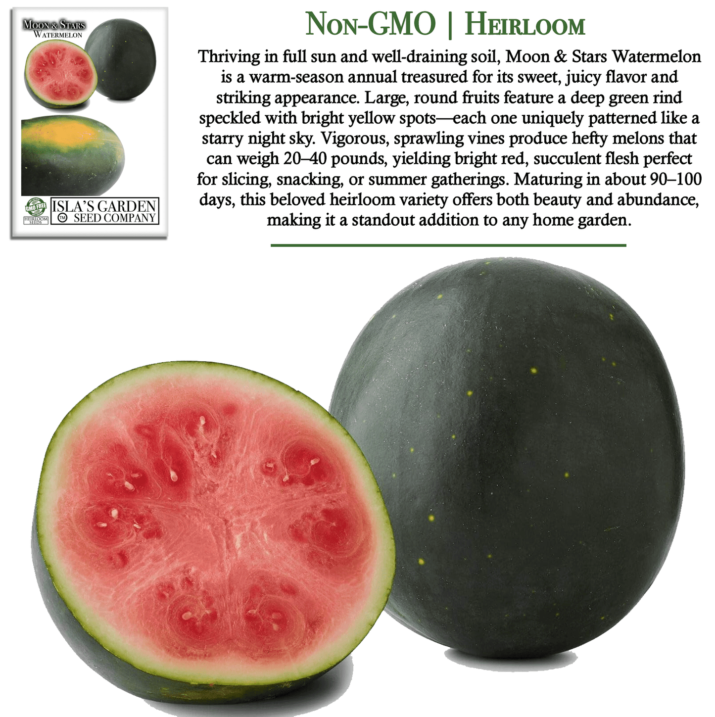 Moon & Stars Watermelon | 20 Seeds/Pk