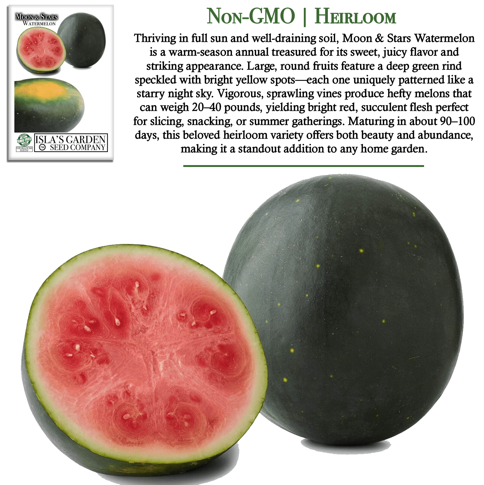 Moon & Stars Watermelon | 20 Seeds/Pk