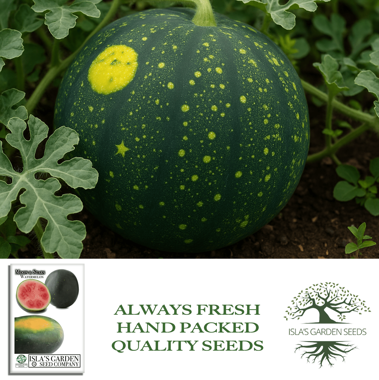 Moon & Stars Watermelon | 20 Seeds/Pk