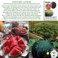 Moon & Stars Watermelon | 20 Seeds/Pk