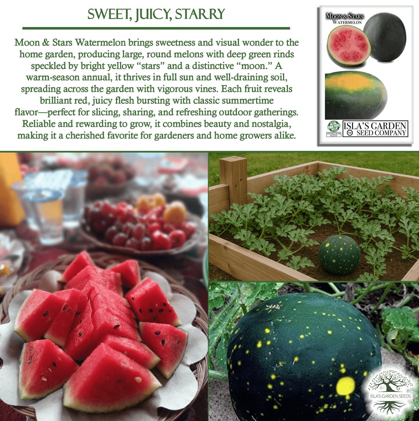 Moon & Stars Watermelon | 20 Seeds/Pk