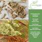 Caraway Herb | 100 Seeds/Pk