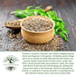 Caraway Herb | 100 Seeds/Pk