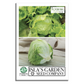 Iceberg Lettuce | 2500 Seeds/Pk