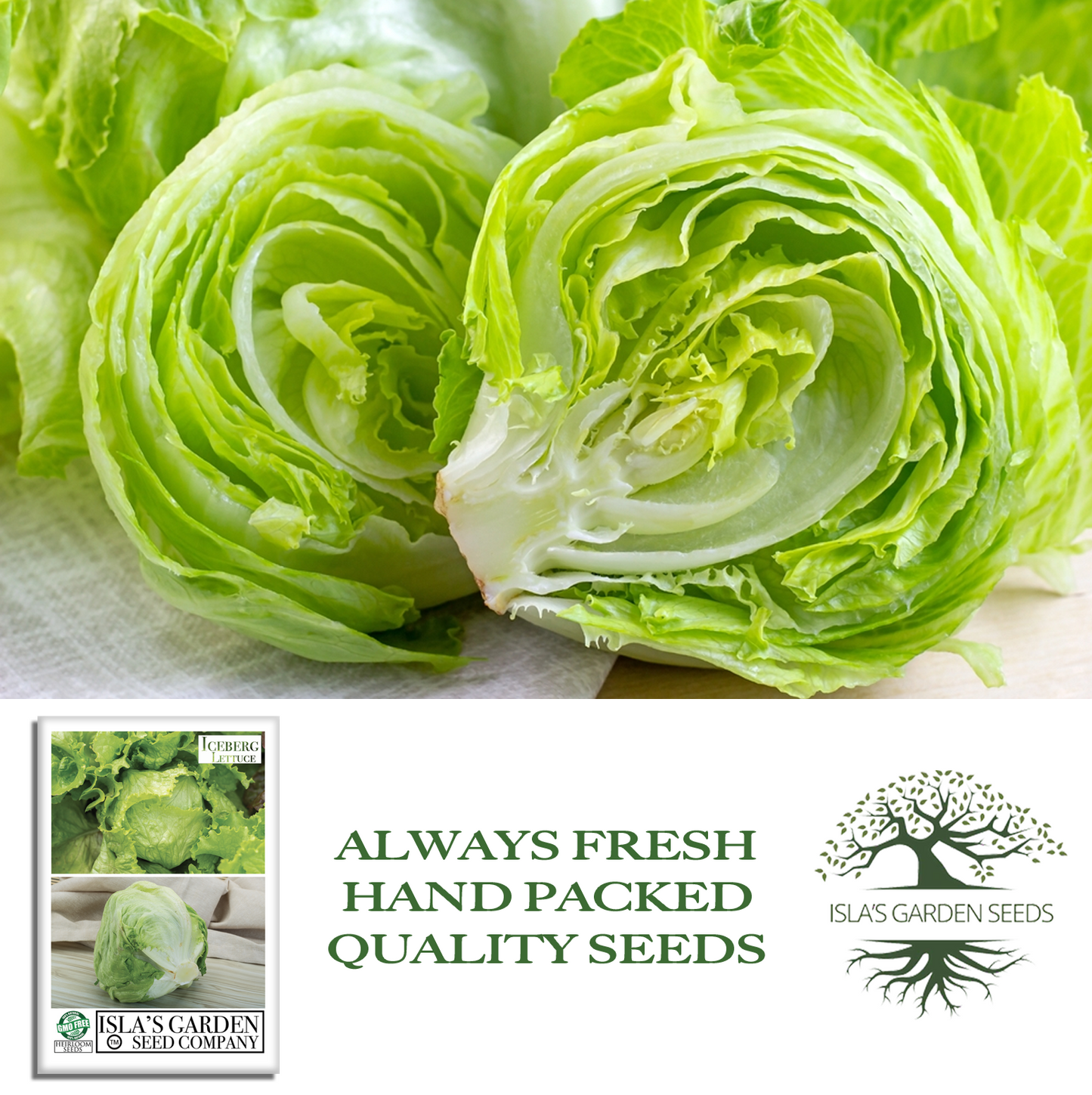 Iceberg Lettuce | 2500 Seeds/Pk
