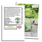 Iceberg Lettuce | 2500 Seeds/Pk