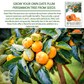 Date Plum Persimmon | 30 Seeds/Pk