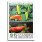 Hungarian Sweet Pepper | 100 Seeds/Pk