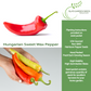 Hungarian Sweet Pepper | 100 Seeds/Pk