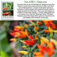 Hungarian Sweet Pepper | 100 Seeds/Pk