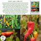 Hungarian Sweet Pepper | 100 Seeds/Pk