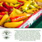 Hungarian Sweet Pepper | 100 Seeds/Pk