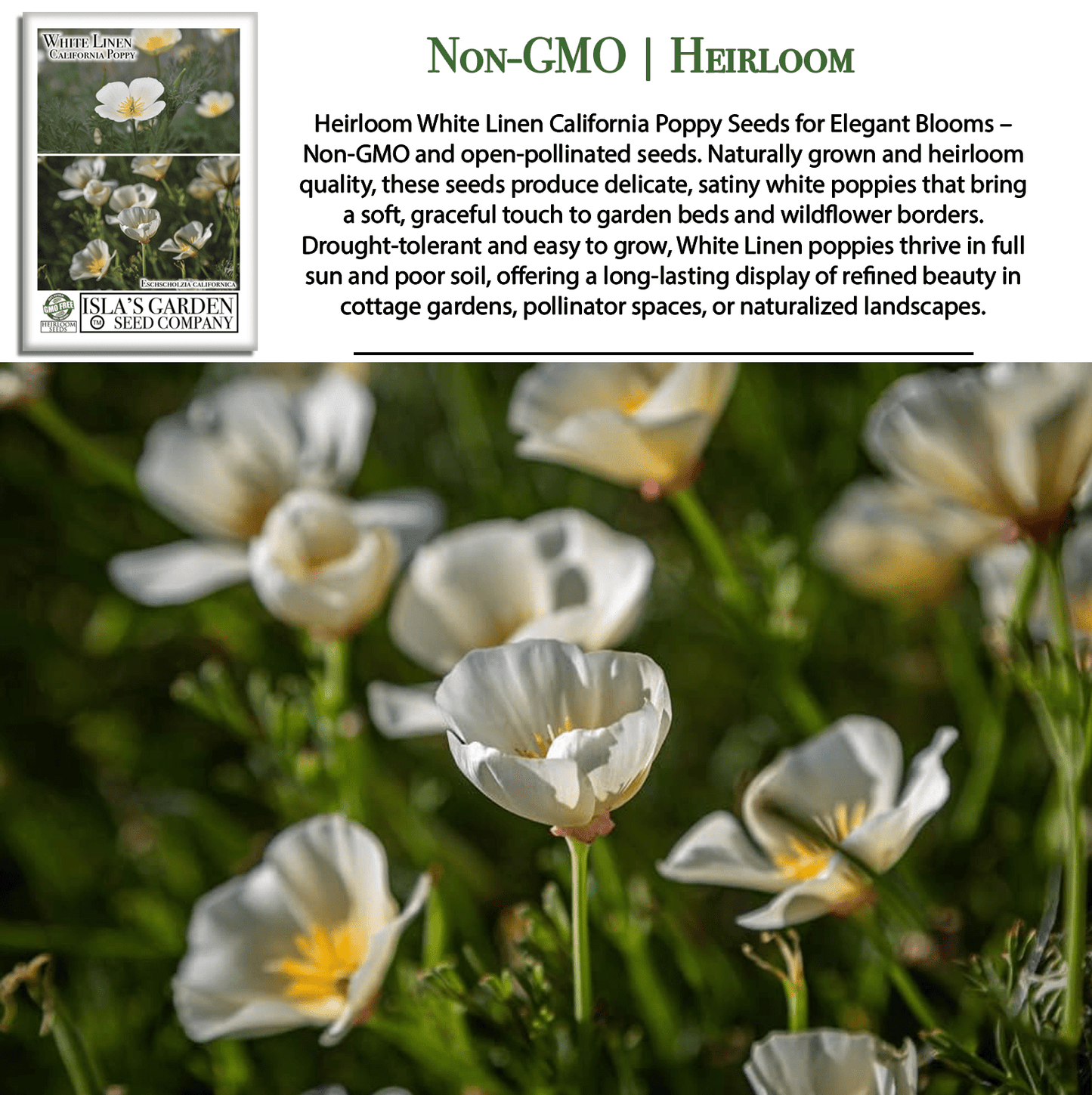 White Linen California Poppy | 1,000 Seeds/Pk