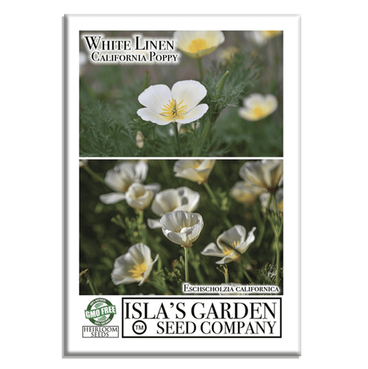 White Linen California Poppy | 1,000 Seeds/Pk