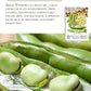 Fava Broad Windsor Bean Seeds, 25 Heirloom Seeds Per Packet, Non GMO Seeds