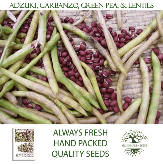 Rainbow Bean Sprouting Mix | 40 Seeds/Pk