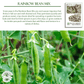 Rainbow Bean Sprouting Mix | 40 Seeds/Pk