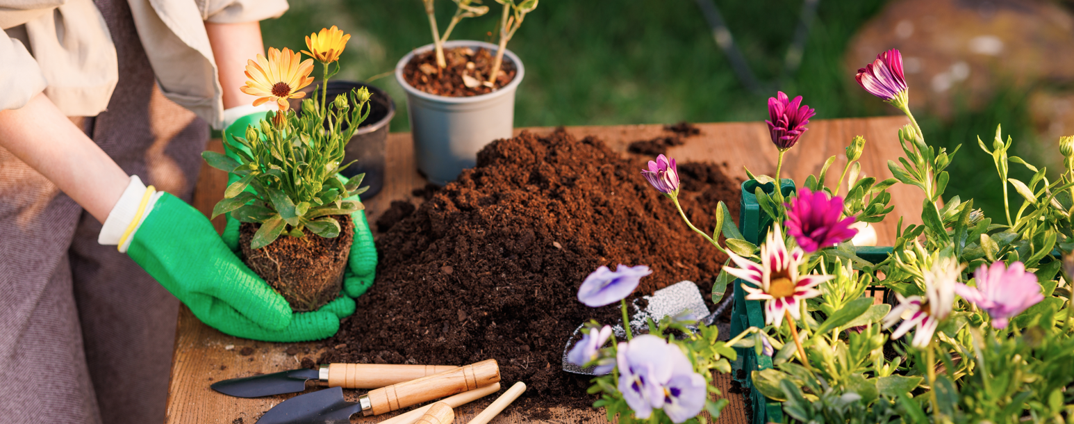 Isla's Garden Seeds