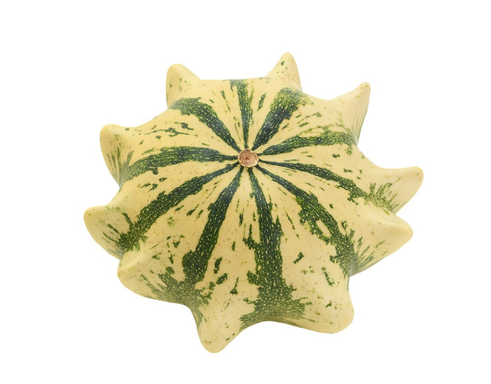 Crown of Thorns Shenot Gourd, 30 Heirloom Seeds Per Packet, Non GMO Seeds
