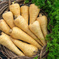All American Parsnip Seeds, 300 Seeds Per Packet, Non GMO Seeds
