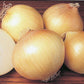 Yellow Sweet Spanish Onion Seeds, 750+ Heirloom Seeds Per Packet, Non GMO Seeds