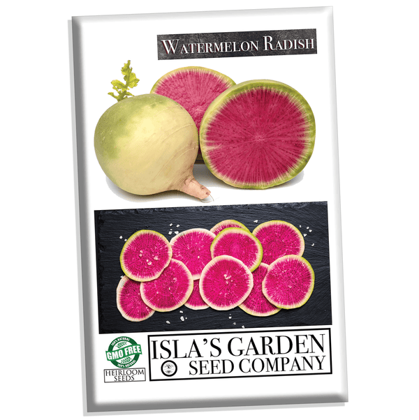 Watermelon Radish Seeds, 120 Heirloom Seeds Per Packet, Non GMO Seeds ...