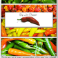 Big Jim Hot Pepper Seeds, 100 Heirloom Seeds Per Packet, Non GMO Seeds