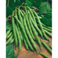 Blue Lake Pole Bean FM1K, 50 Heirloom Seeds Per Packet, Non GMO Seeds