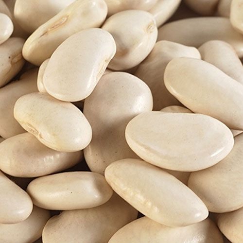 King of Garden Lima Pole Bean Seeds, 25 Heirloom Seeds Per Packet, Non GMO Seeds