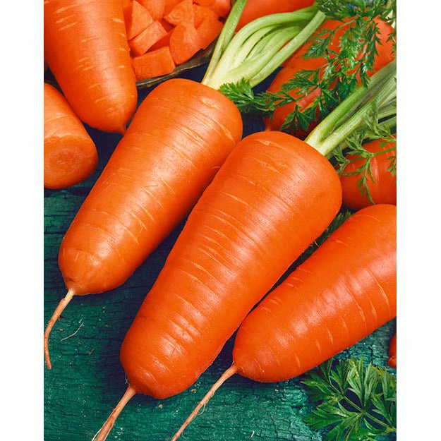 Red Cored Chantenay Carrot Seeds, 1000 Heirloom Seeds Per Packet, Non GMO Seeds