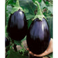 Black Beauty Eggplant Seeds, 100 Heirloom Seeds Per Packet, Non GMO Seeds, Botanical Name: Solanum melongena