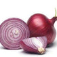 Red Shortday Burgandy Onion, 300 Heirloom Seeds Per Packet, Non GMO Seeds