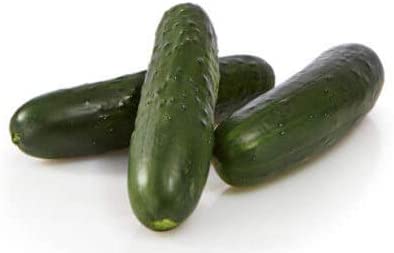 Bristol Cucumber, 25 Heirloom Seeds Per Packet, Non GMO Seeds