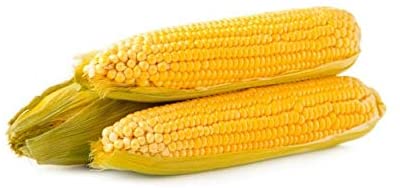 Golden Jubilee Yellow Sweet Corn Seeds, 30+ Seeds Per Packet, Non GMO & Heirloom Seeds, Botanical Name: Corn Zea mays