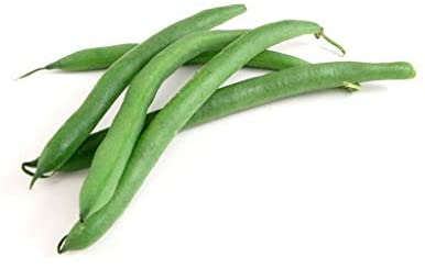 Slenderette Green Bean Bush Bean , 50 Heirloom Seeds Per Packet, Non GMO Seeds