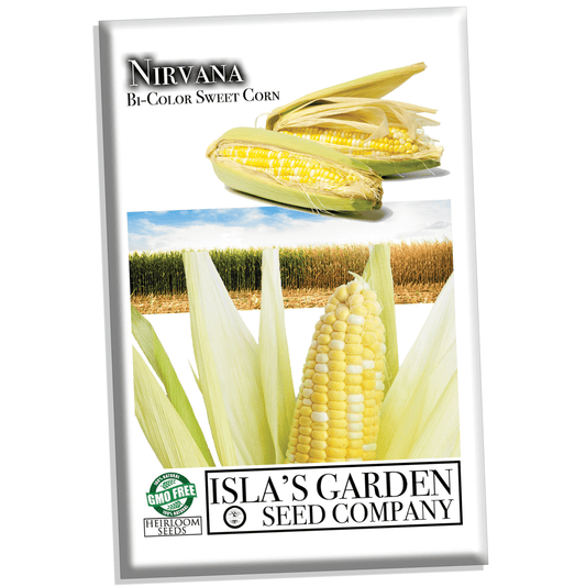 Nirvana Supersweet Corn, 25+ Heirloom Seeds Per Packet, Non GMO Seeds, Botanical Name: Zea Mays