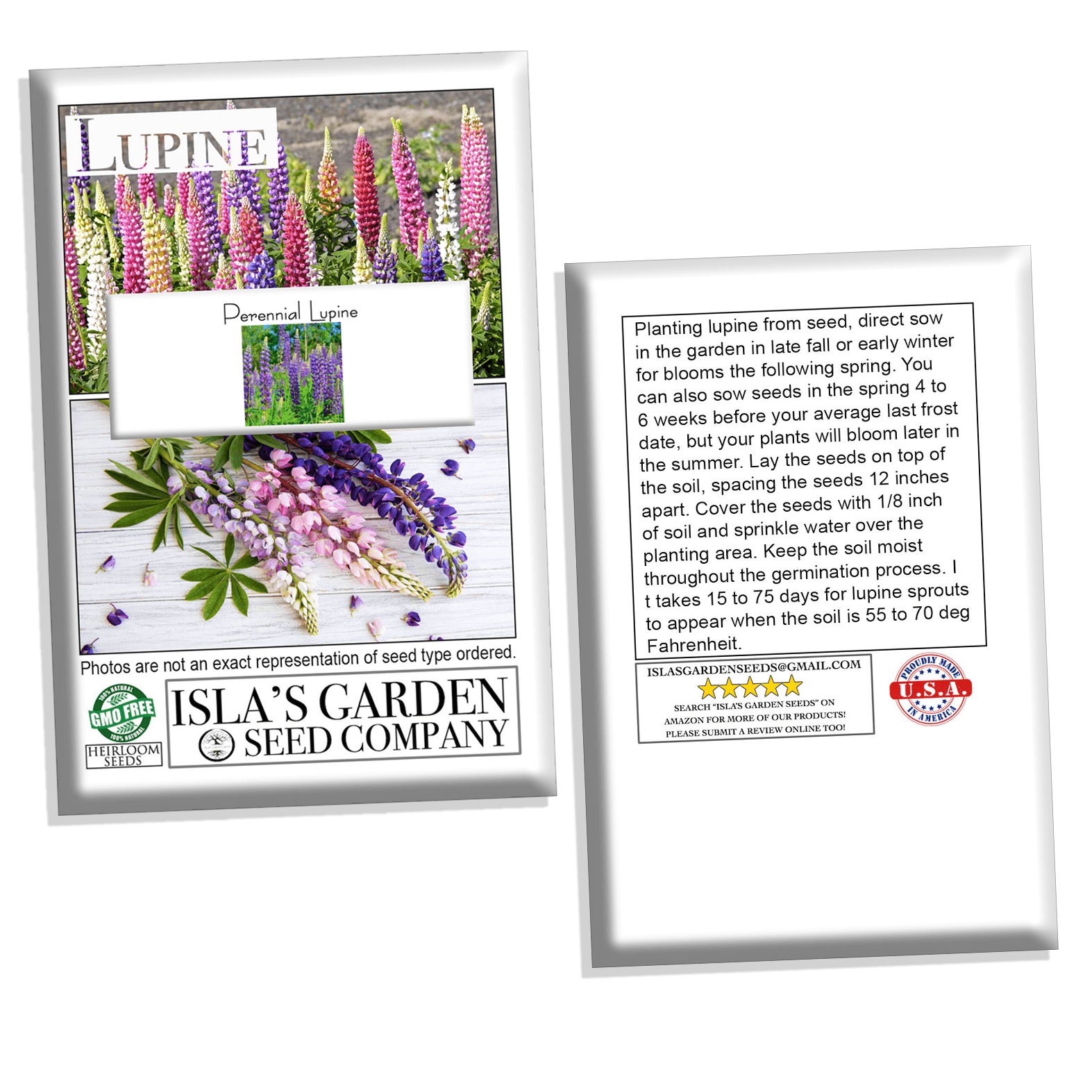 Perennial Lupine Flower Seeds, 300 Flower Seeds Per Packet
