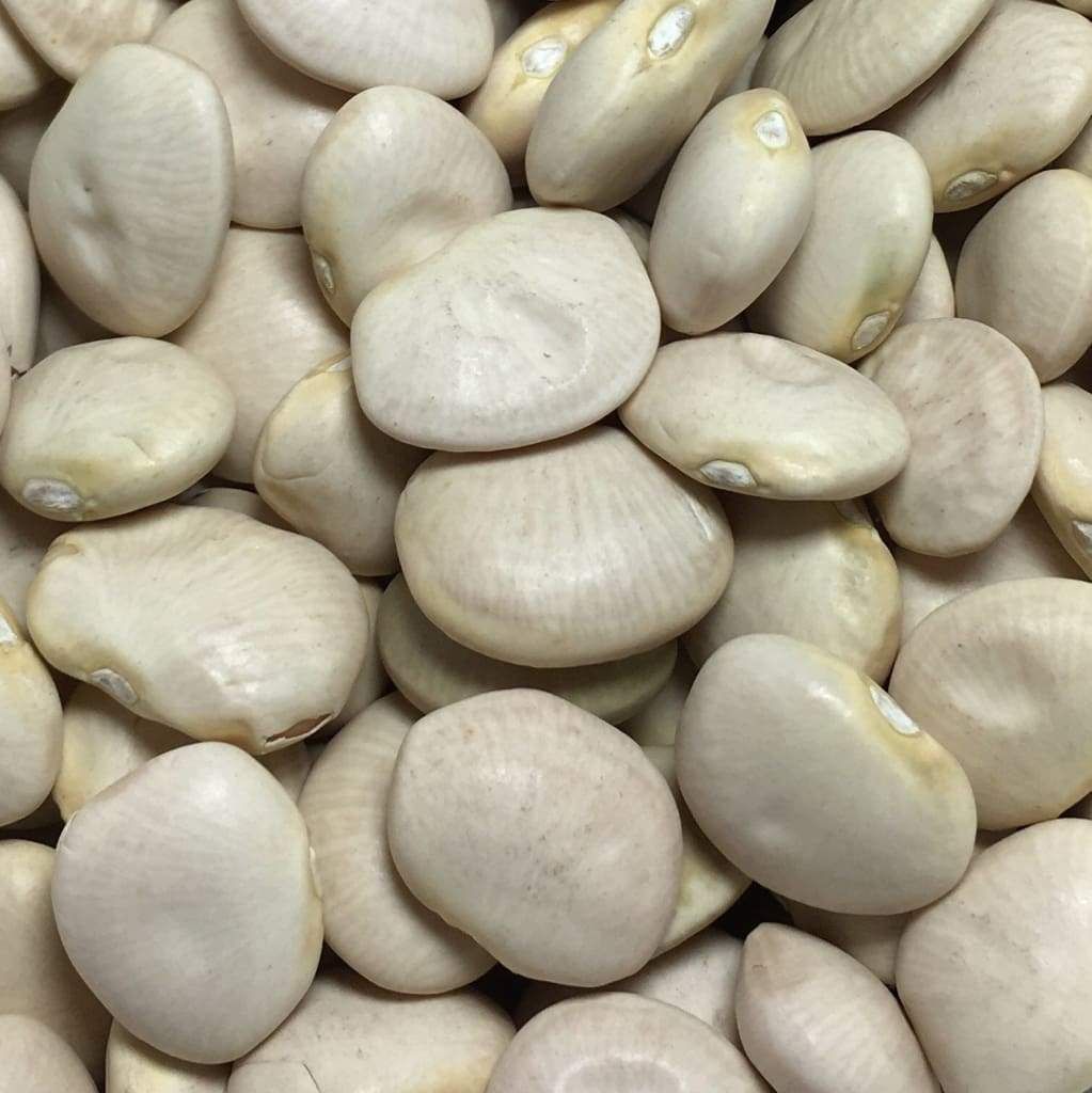 Baby Fordhook Lima Bean Seeds, 20 Heirloom Seeds Per Packet, Non GMO Seeds