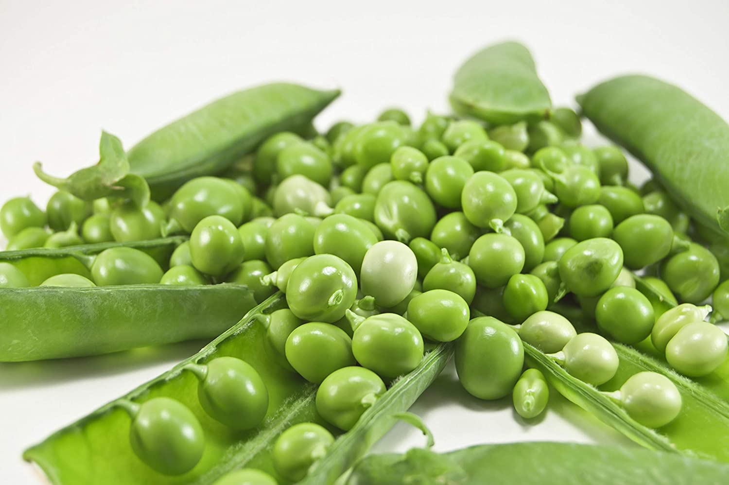 pea plant seeds Early Frosty Pea Seeds, 50 Heirloom Seeds Per Packet, Non GMO Seeds, Isla's Garden Seeds