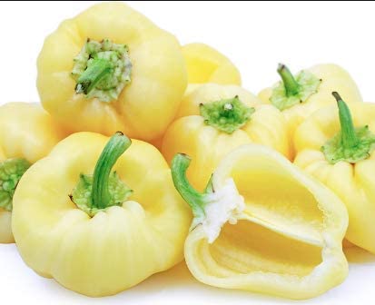 White bell clearance pepper