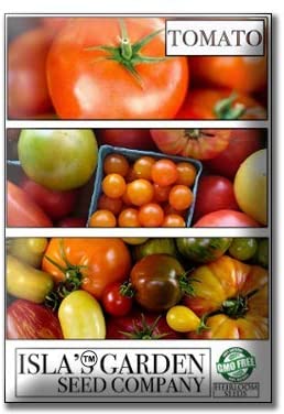 Gold Nugget Cherry Tomato, 25 Heirloom Seeds Per Packet, Non GMO Seeds
