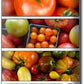 Jet Star Hybrid Tomato, 25 Seeds Per Packet